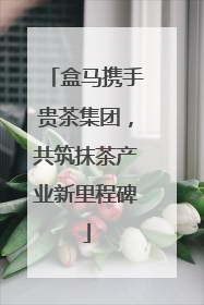盒马携手贵茶集团，共筑抹茶产业新里程碑