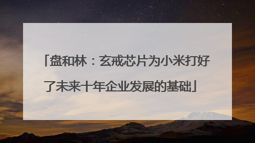 盘和林：玄戒芯片为小米打好了未来十年企业发展的基础