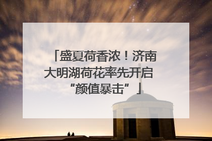 盛夏荷香浓！济南大明湖荷花率先开启“颜值暴击”