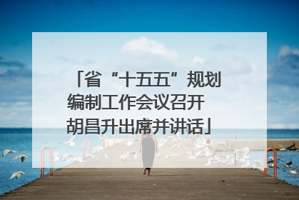 省“十五五”规划编制工作会议召开 胡昌升出席并讲话