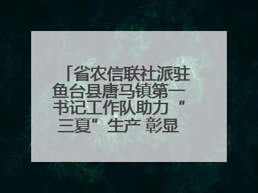 省农信联社派驻鱼台县唐马镇第一书记工作队助力“三夏”生产 彰显为民担当