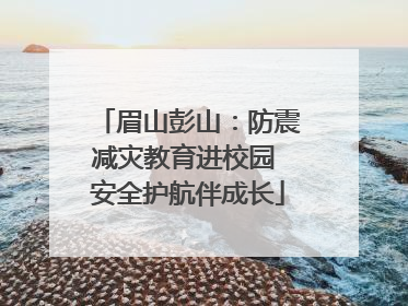 眉山彭山：防震减灾教育进校园 安全护航伴成长