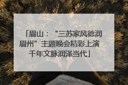 眉山：“三苏家风德润眉州”主题晚会精彩上演千年文脉润泽当代