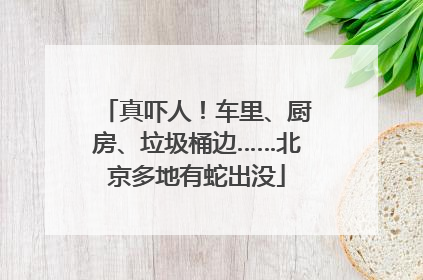 真吓人！车里、厨房、垃圾桶边……北京多地有蛇出没