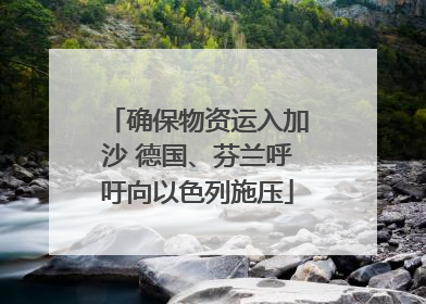 确保物资运入加沙 德国、芬兰呼吁向以色列施压