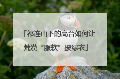祁连山下的高台如何让荒漠“服软”披绿衣
