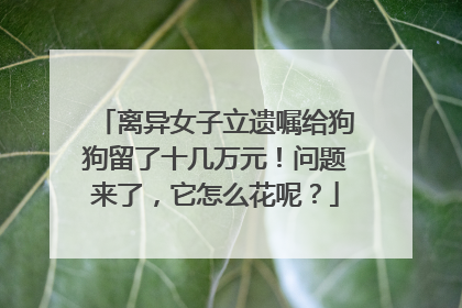 离异女子立遗嘱给狗狗留了十几万元！问题来了，它怎么花呢？