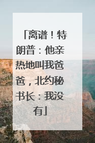 离谱！特朗普：他亲热地叫我爸爸，北约秘书长：我没有