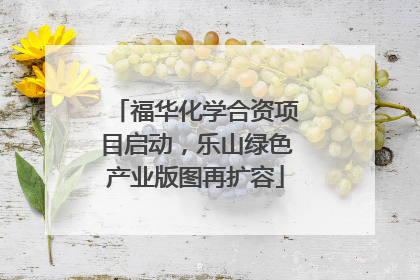 福华化学合资项目启动，乐山绿色产业版图再扩容
