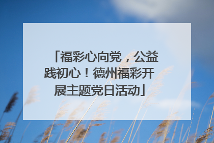 福彩心向党，公益践初心！德州福彩开展主题党日活动