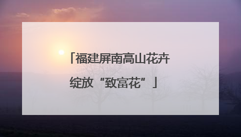福建屏南高山花卉绽放“致富花”