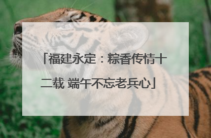 福建永定：粽香传情十二载 端午不忘老兵心