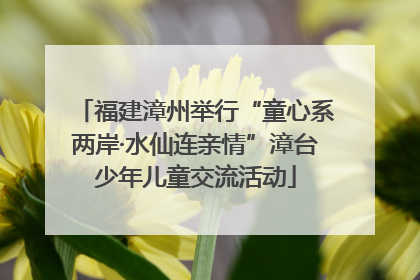 福建漳州举行“童心系两岸·水仙连亲情”漳台少年儿童交流活动