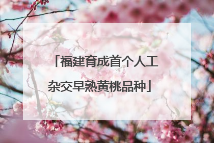 福建育成首个人工杂交早熟黄桃品种