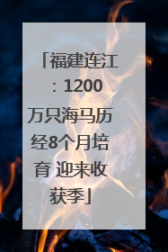 福建连江：1200万只海马历经8个月培育 迎来收获季