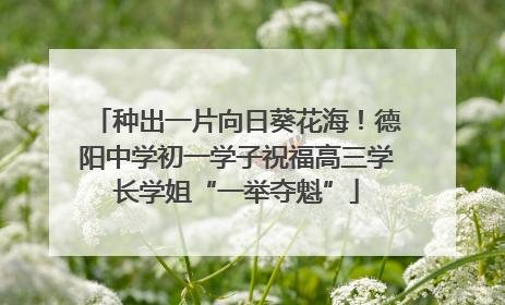 种出一片向日葵花海！德阳中学初一学子祝福高三学长学姐“一举夺魁”