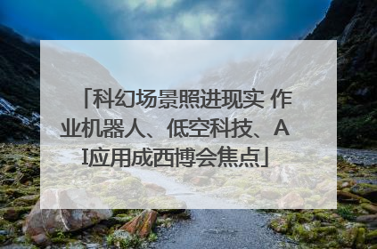 科幻场景照进现实 作业机器人、低空科技、AI应用成西博会焦点