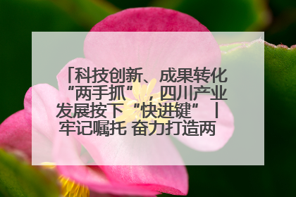 科技创新、成果转化“两手抓”，四川产业发展按下“快进键”丨牢记嘱托 奋力打造两高地两基地一屏障