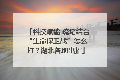 科技赋能 疏堵结合 “生命保卫战”怎么打？湖北各地出招