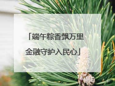 端午粽香飘万里 金融守护入民心