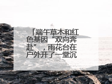 端午草木和红色基因“双向奔赴”，雨花台在户外开了一堂沉浸式思政课