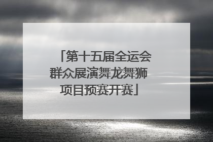 第十五届全运会群众展演舞龙舞狮项目预赛开赛