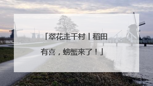 翠花走千村丨稻田有喜，螃蟹来了！