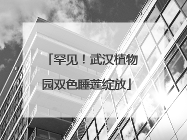 罕见！武汉植物园双色睡莲绽放