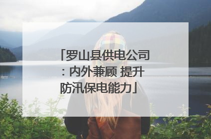 罗山县供电公司：内外兼顾 提升防汛保电能力