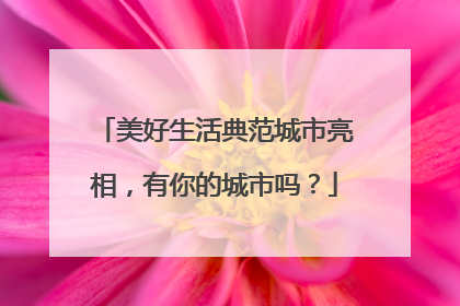 美好生活典范城市亮相，有你的城市吗？
