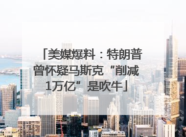 美媒爆料：特朗普曾怀疑马斯克“削减1万亿”是吹牛