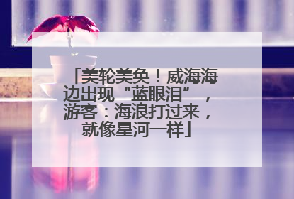 美轮美奂！威海海边出现“蓝眼泪”，游客：海浪打过来，就像星河一样