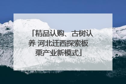 精品认购、古树认养 河北迁西探索板栗产业新模式