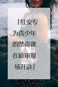 红安专为青少年的禁毒课在庭审现场开讲