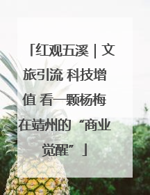 红观五溪｜文旅引流 科技增值 看一颗杨梅在靖州的“商业觉醒”