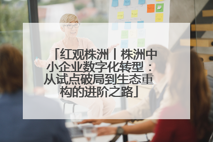 红观株洲丨株洲中小企业数字化转型：从试点破局到生态重构的进阶之路