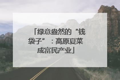 绿意盎然的“钱袋子”：高原夏菜成富民产业