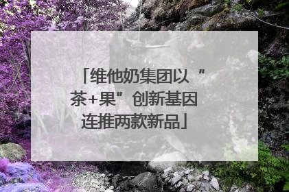 维他奶集团以“茶+果”创新基因连推两款新品