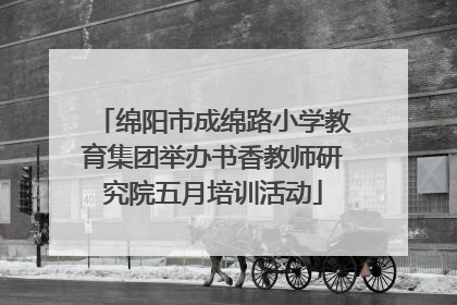 绵阳市成绵路小学教育集团举办书香教师研究院五月培训活动