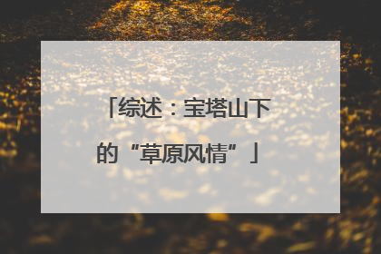 综述：宝塔山下的“草原风情”
