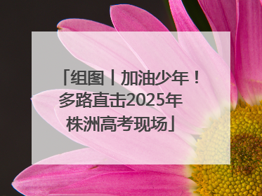 组图丨加油少年！多路直击2025年株洲高考现场