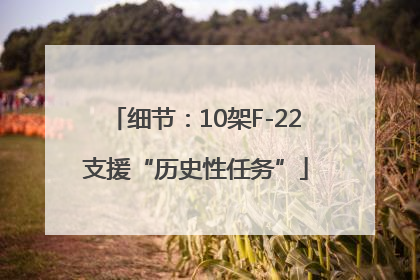 细节：10架F-22支援“历史性任务”