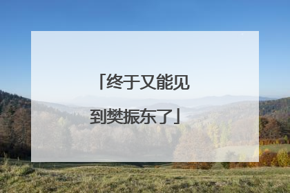 终于又能见到樊振东了