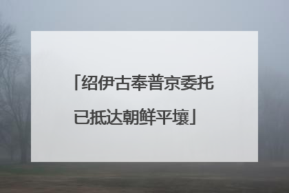 绍伊古奉普京委托已抵达朝鲜平壤