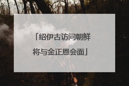 绍伊古访问朝鲜 将与金正恩会面