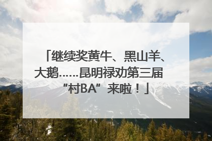 继续奖黄牛、黑山羊、大鹅……昆明禄劝第三届“村BA”来啦！