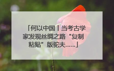 何以中国丨当考古学家发现丝绸之路“复制粘贴”版驼夫……