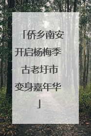 侨乡南安开启杨梅季 古老圩市变身嘉年华