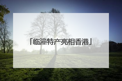 临潼特产亮相香港