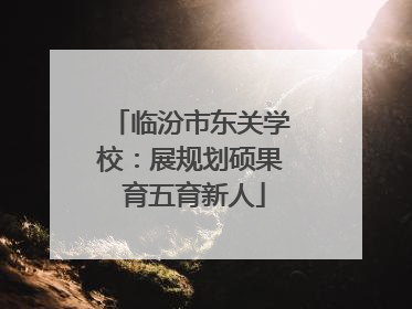 临汾市东关学校：展规划硕果 育五育新人